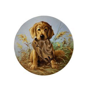 1987 Knowles Collectible Plate Lynn Kaatz " . . . Golden Retriever" 8.5" Diamete